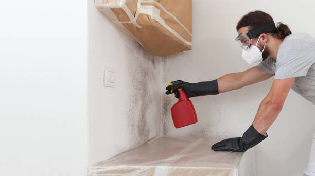 Professional Basement Mold Remediation technician working in Fort Washington, MD