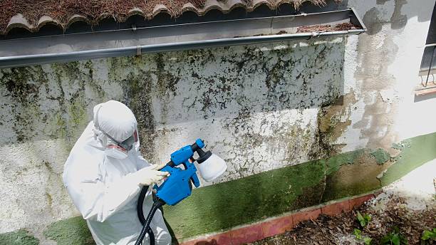Trusted Crawl Space Mold Removal service in Fort Washington, MD - Cheap Mold Removal